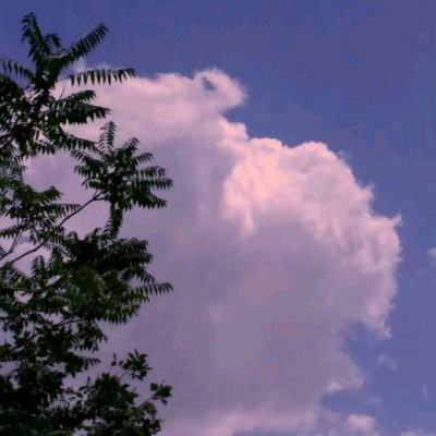 中欧体育下载截图